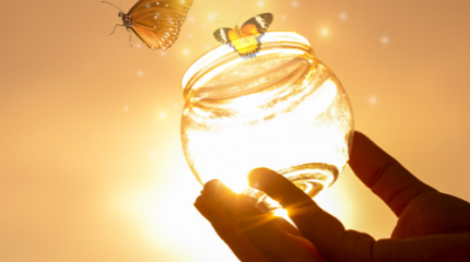 Accompagnement Entrepreneurial - La Réunion