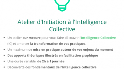 Atelier d'Initiation à l'Intelligence Collective - En visio