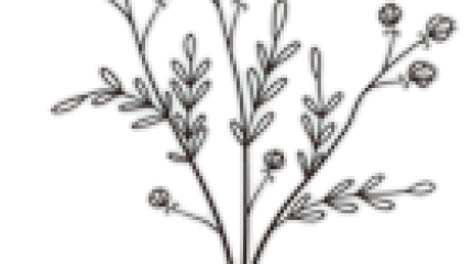 Assistanat Administratif - Bourgeons