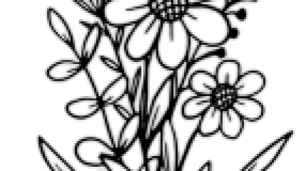 Accompagnement Administratif - Floraisons