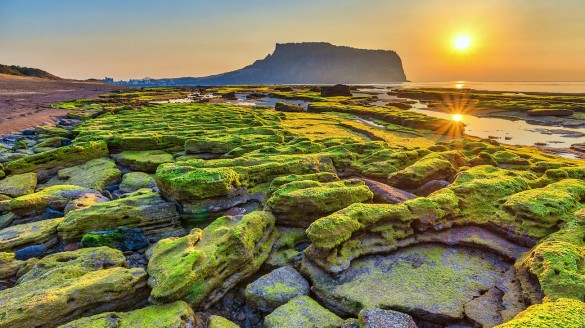 Paysage Paisible - Fabien Jacquet