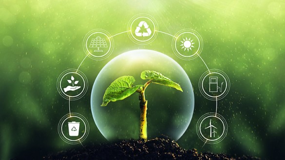 Écologie Systémique