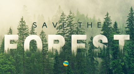 Journée mondiale des fôrets